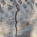 Record 36496 voucher