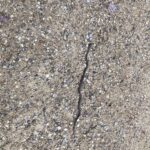 Record 36491 voucher