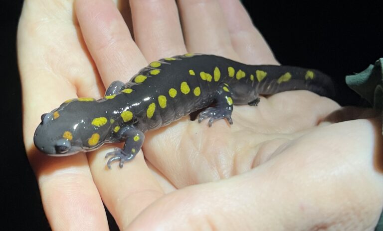 Nate Fuller - description goes here.