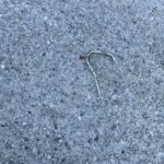 Record 36483 voucher