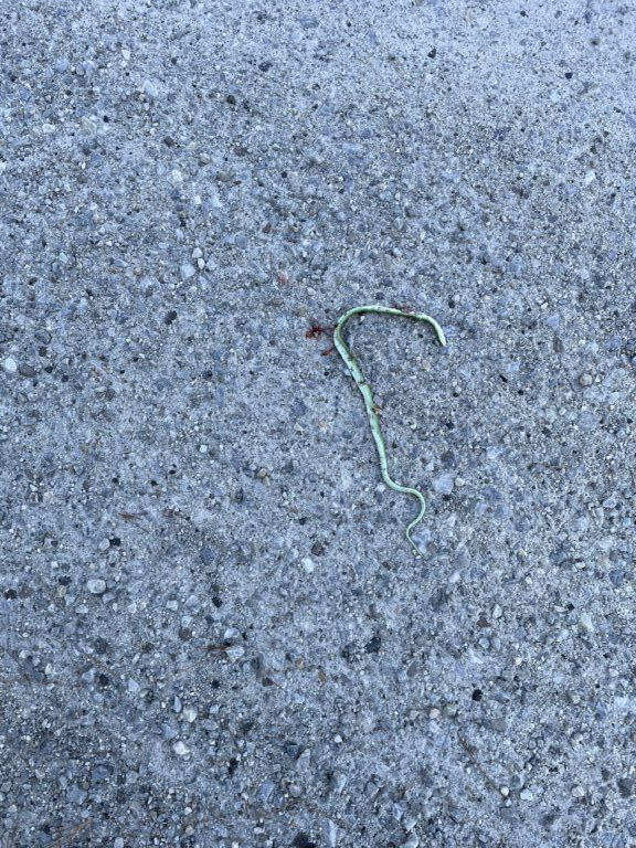 John Zmiejko - description goes here.