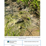 Record 36545 voucher