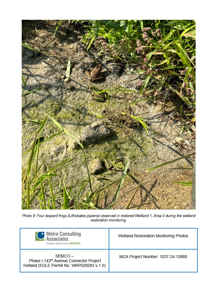 Jason Combs - description goes here.