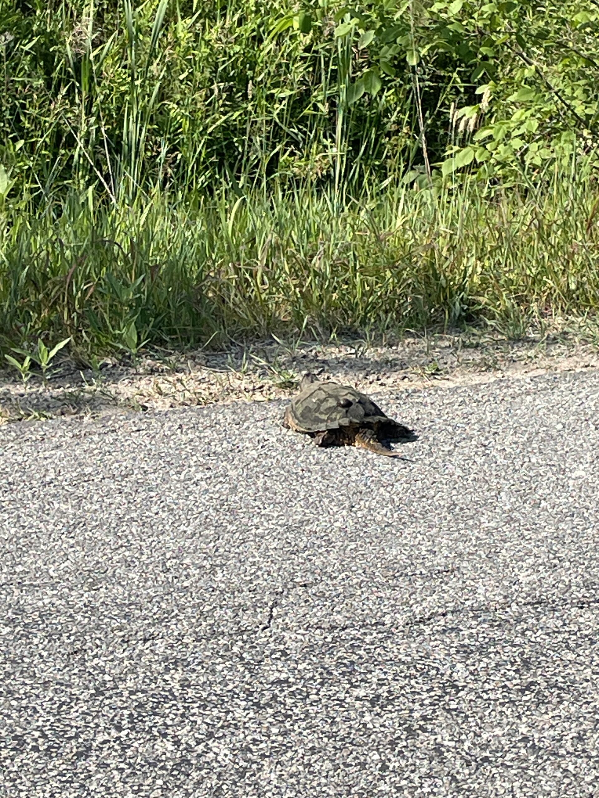 Jason Combs - description goes here.