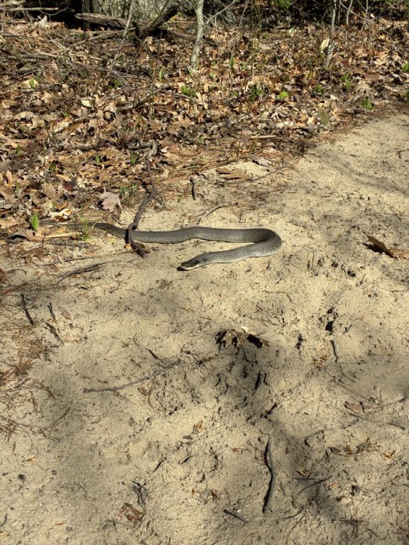 Curtis Vandenberg - description goes here.