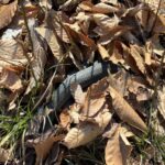 Record 36784 voucher