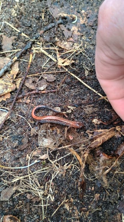 Matt Gunn - description goes here.