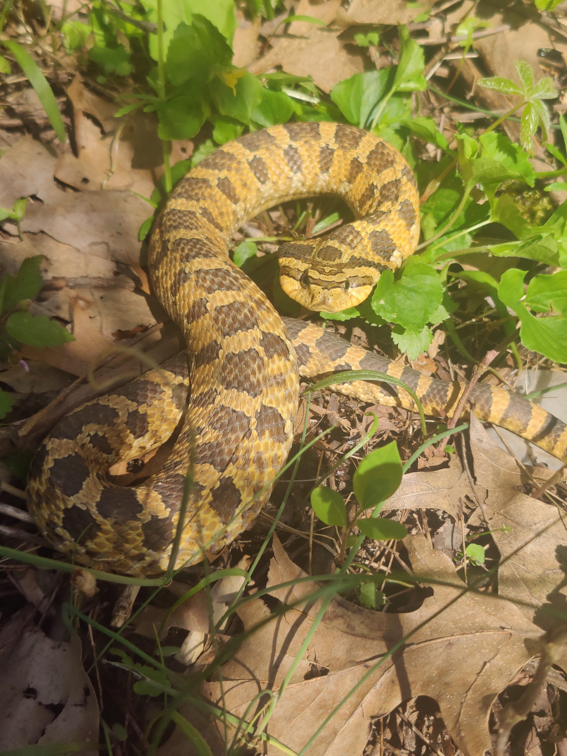 Mike Eley - description goes here.