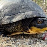 Record 36756 voucher