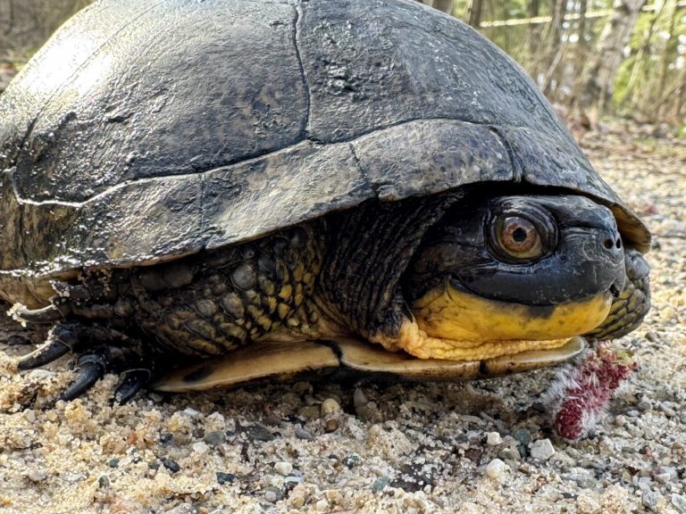 Autumn Baker - description goes here.