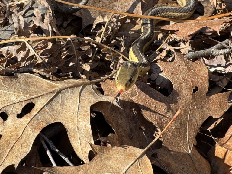 Autumn Baker - description goes here.