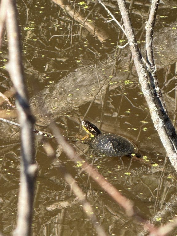 Autumn Baker - description goes here.