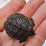 Record 36541 voucher