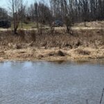 Record 36565 voucher