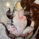 Record 36657 voucher