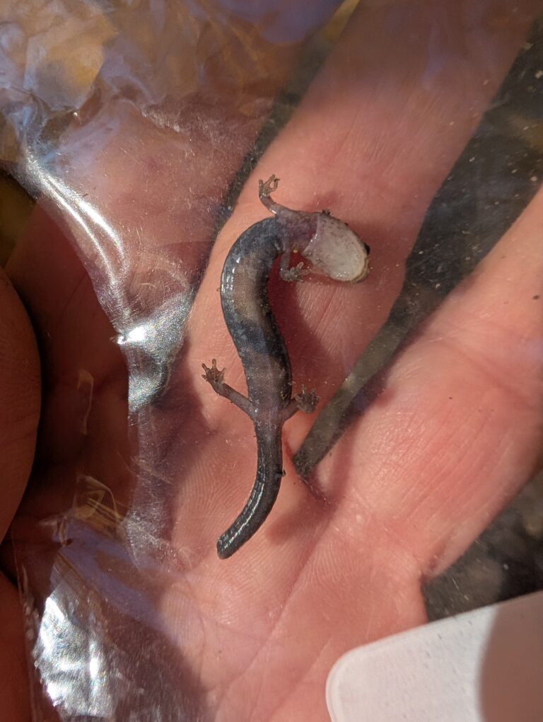 Doug Morris - description goes here.