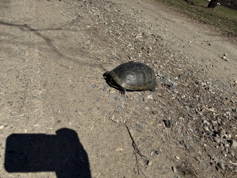 Mrengel314 - description goes here.