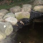 Record 36689 voucher