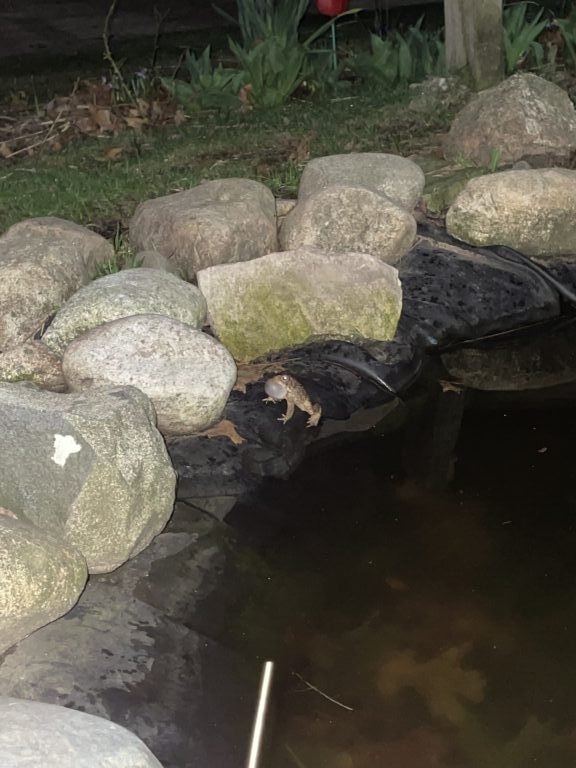 Benjamin Wilson - description goes here.