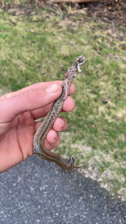 Benjamin Wilson - description goes here.