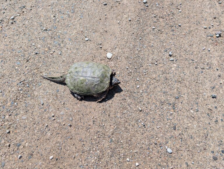 Herp Atlas Administrator - description goes here.