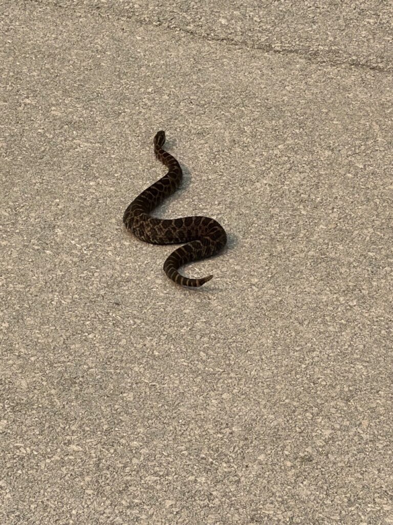 Herp Atlas Administrator - description goes here.