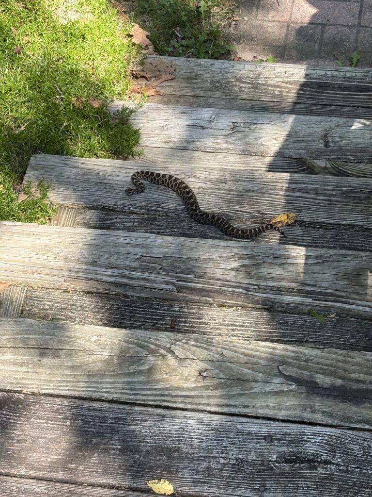 Herp Atlas Administrator - description goes here.