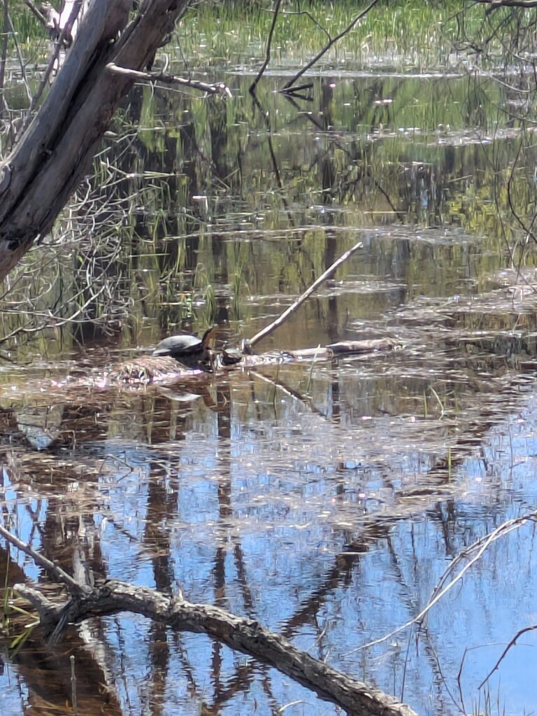 Ashley Baney - description goes here.