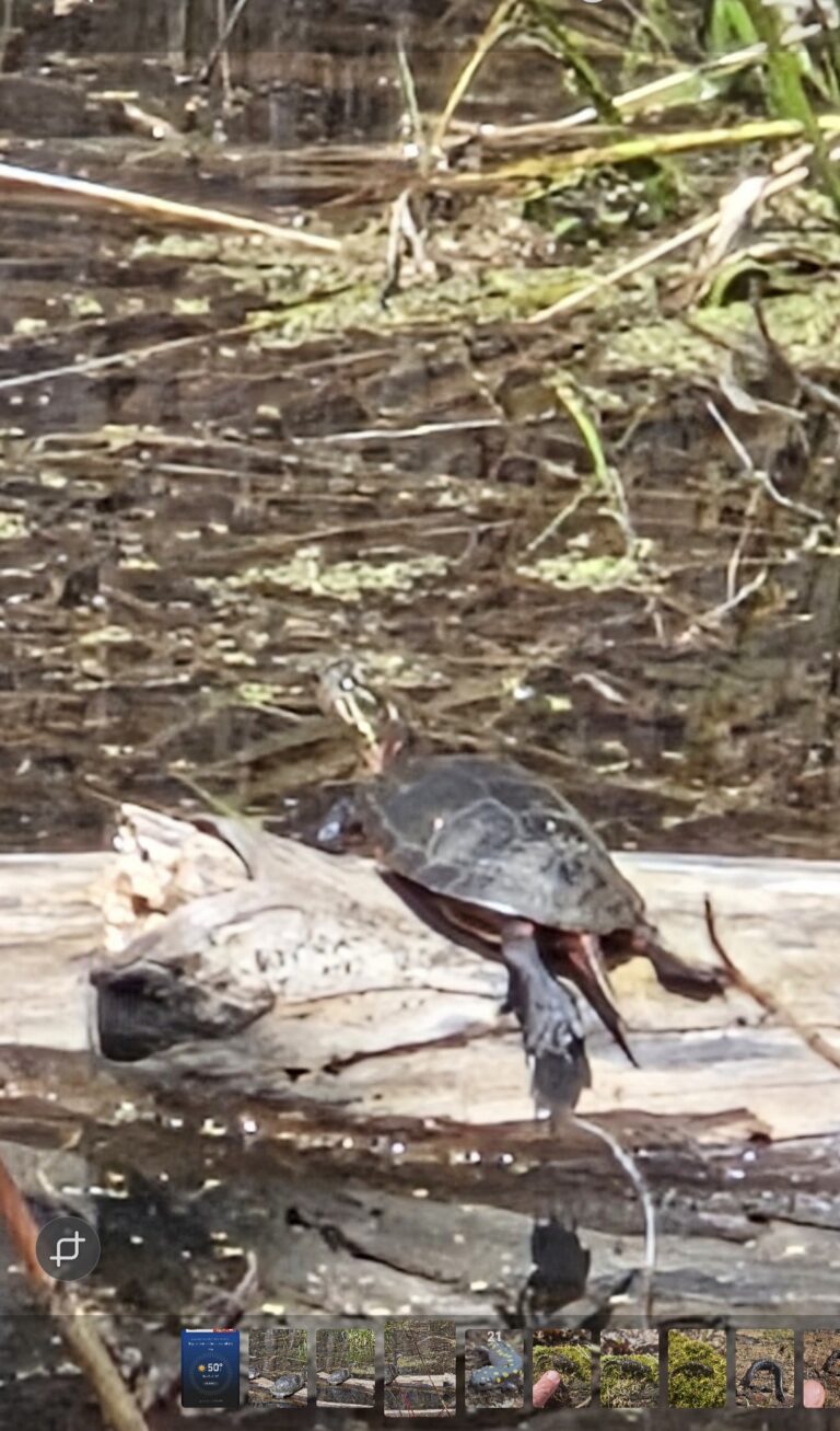 Jeff Schultz - description goes here.