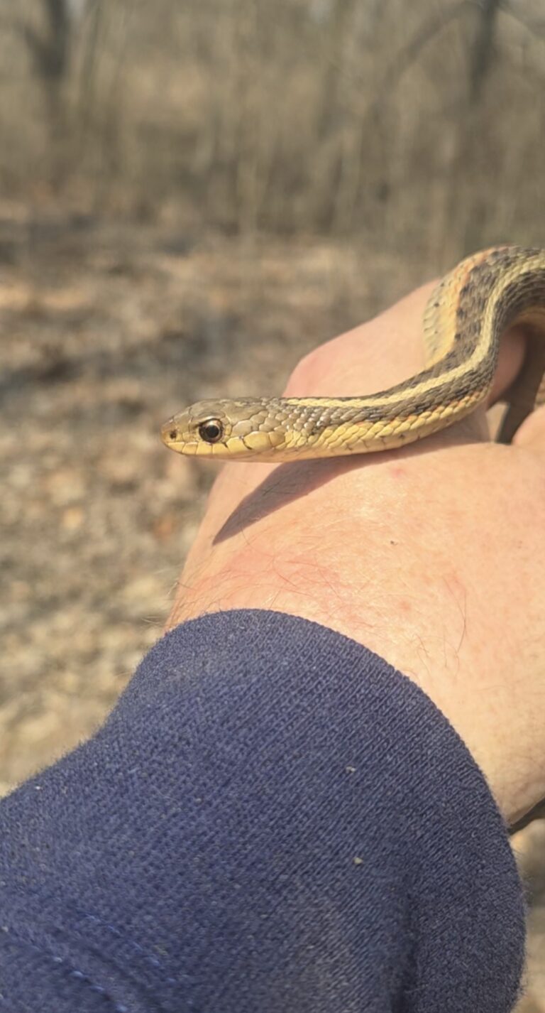 Jeff Schultz - description goes here.