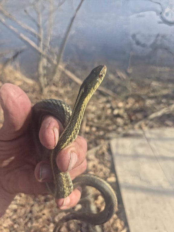 Jeff Schultz - description goes here.