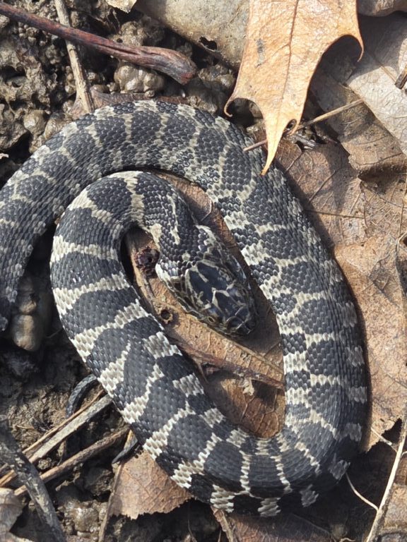 Jeff Schultz - description goes here.