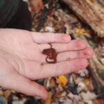 Record 36462 voucher