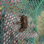 Record 36449 voucher