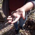 Record 36509 voucher