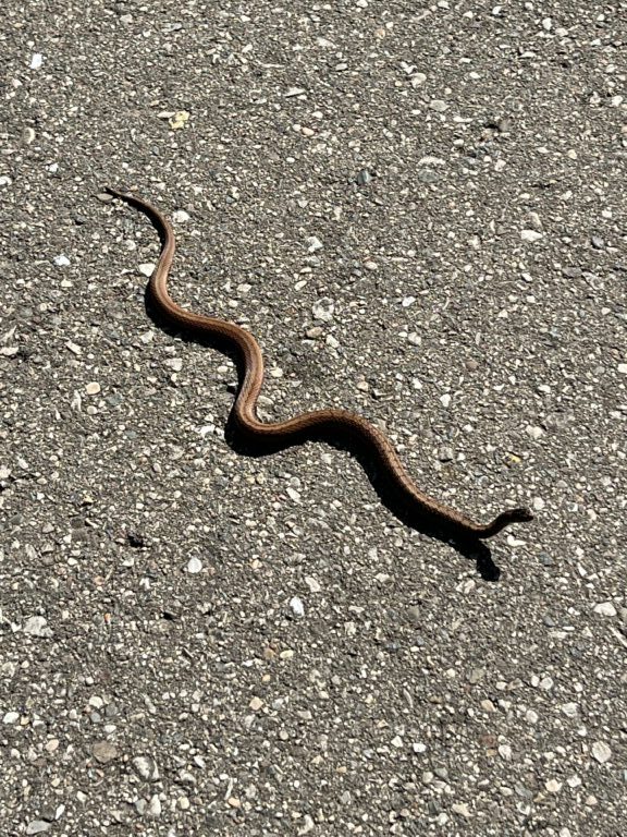 Jon Young - description goes here.