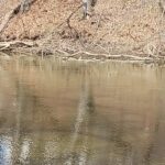 Record 36777 voucher