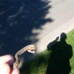 Record 36779 voucher