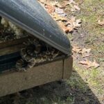 Record 36768 voucher