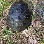 Record 36769 voucher