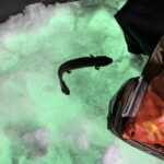 Record 36544 voucher