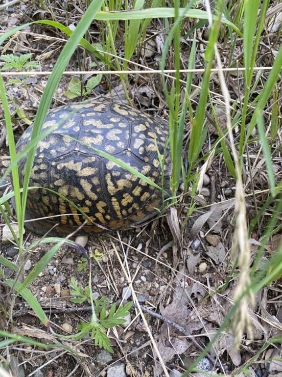 Kurt Kaiser - description goes here.