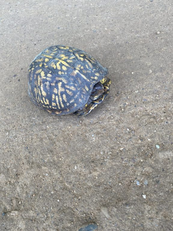 Kurt Kaiser - description goes here.