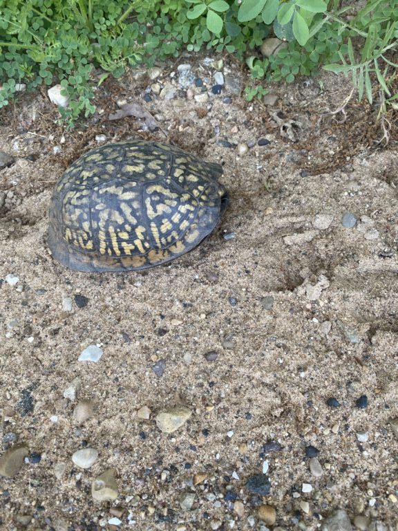 Kurt Kaiser - description goes here.