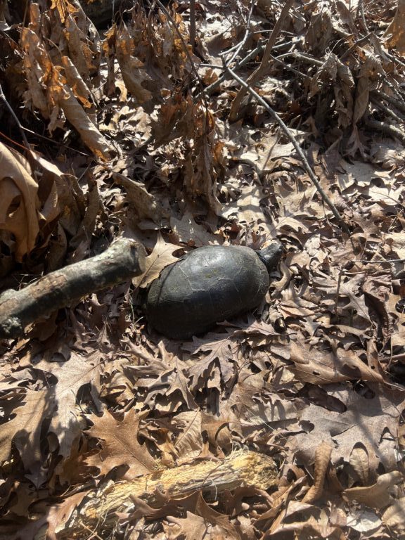 ljnunn@umich.edu - description goes here.