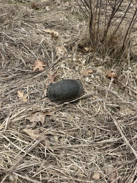 description goes here.