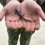 Record 36640 voucher