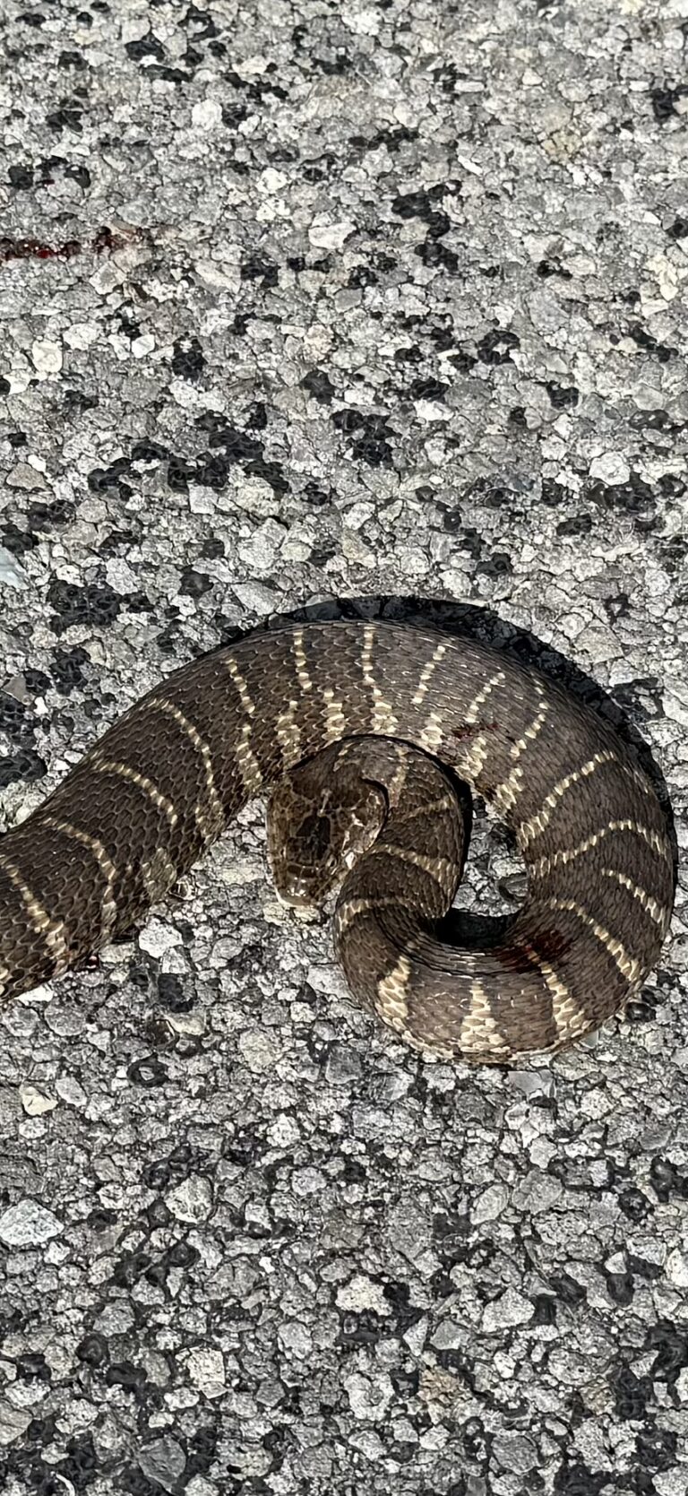 Maryann - description goes here.