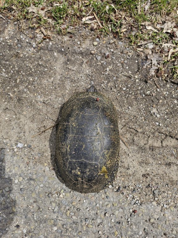 Rebecca Potter - description goes here.