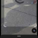 Record 36677 voucher